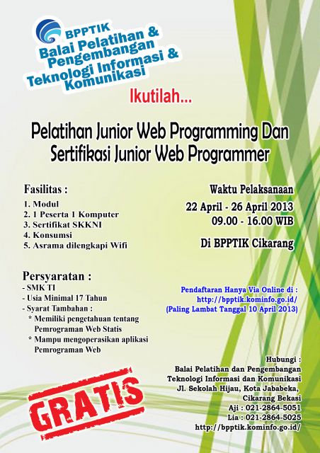 Brosur Pelatihan Web Programming 22042013