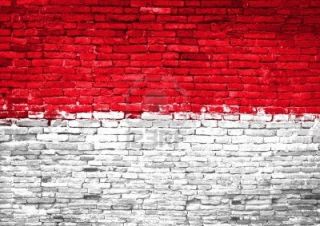 10918009-indonesia-flag-painted-on-old-brick-wall