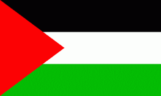 Bendera Palestina (inet)