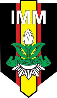 Logo IMM (inet)