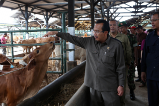 Mentan Suswono saat meninjau sentra produksi sapi. (Foto: Tajuk/IST)