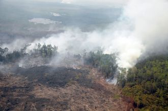 Ilustrasi. Kepulan asap dari hutan terbakar. (Antara/ Satgas Bencana Asap Riau)