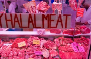 Daging Halal (ilustrasi) - Foto: jewsnews