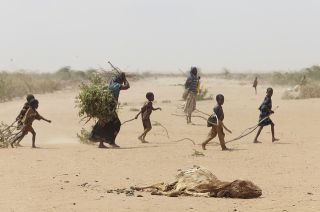 Kekeringan yang melanda Somalia (greenfudge.org)