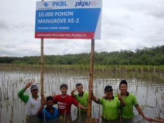 PKPU dan PT. SGS Indonesia menanam 4000 bibit mangrove di kawasan Elang Laut, Pantai Indah Kapuk, Jakarta Utara. (apn/pkpu)