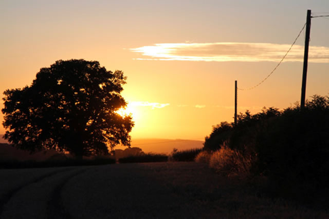 Ilustrasi - Sunset di Hertfordshire, Inggris, pukul 22.10 waktu setempat. (Ummi Shidqi)