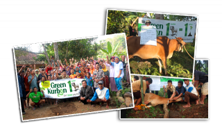 Green Kurban yang di gagas Tebar Hewan Kurban DD-Jabar - Sinergi Foundation.  (HB Sungkaryo/sinergi Foundation)
