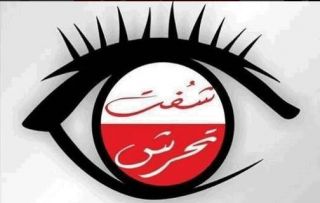 Logo LSM Syuft Tahrisy (egyptwindow.net)
