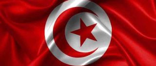 Bendera Tunisia (islammemo.cc)