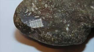 Batu aneh yang ditemukan di Rusia. (elwatannews)