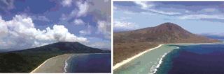Kondisi pulau vanuatu sebelum dan sesudah diterjang badai pam.  (viva.co.id)