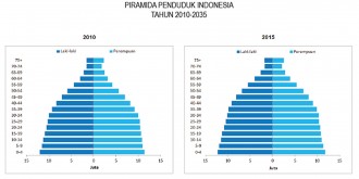 Piramida Penduduk Indonesia tahun 2010 dan 2015. (Dita Anggraini)