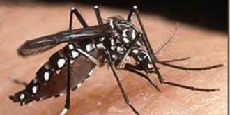 Musim kemarau, Menkes meminta masyarakat mewaspadai penyakit yang dipicu oleh nyamuk. (kompas.com)
