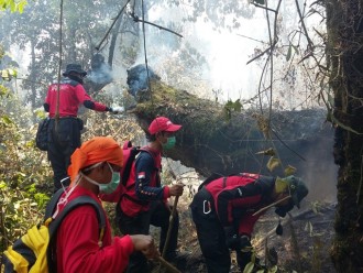 PKPU mengirimkan tim ke Gunung Lawu melalui jalur Cemoro Kandang. (DRM/kis/PKPU) 