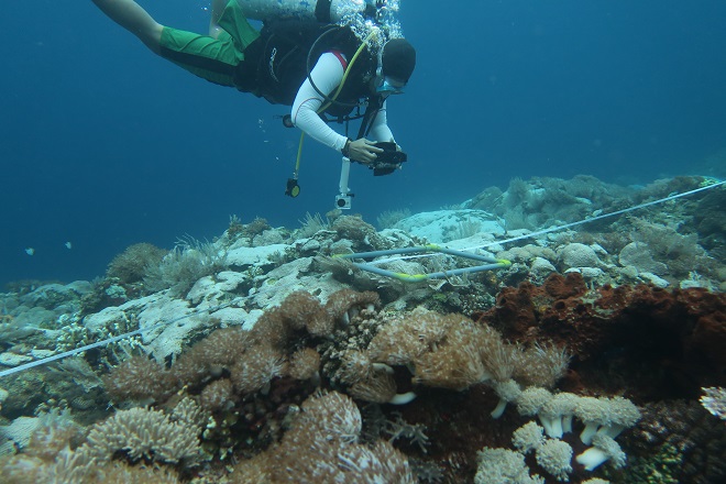 Peneliti MSDC UNHAS memotret terumbu karang yang memutih di Perairan Pulau Liukang Loe Kabupaten Bulukumba. Foto _ Sumarjito-MSDC UNHAS