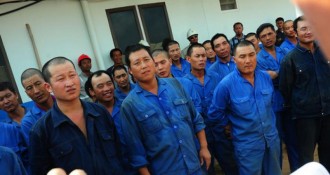 Pekerja Cina di Indonesia. (tribunnews.com)