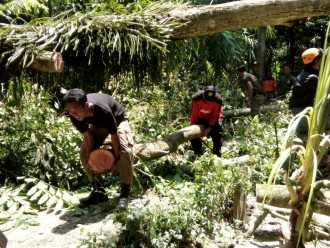 Emergency Response Unit PKPU Jogja bersama BPBD Bantul, Satpol PP dan komunitas relawan melakukan evakuasi pohon tumbang yang melanda tiga Kecamatan di Kabupaten Bantul, Sabtu (15/10/2016).